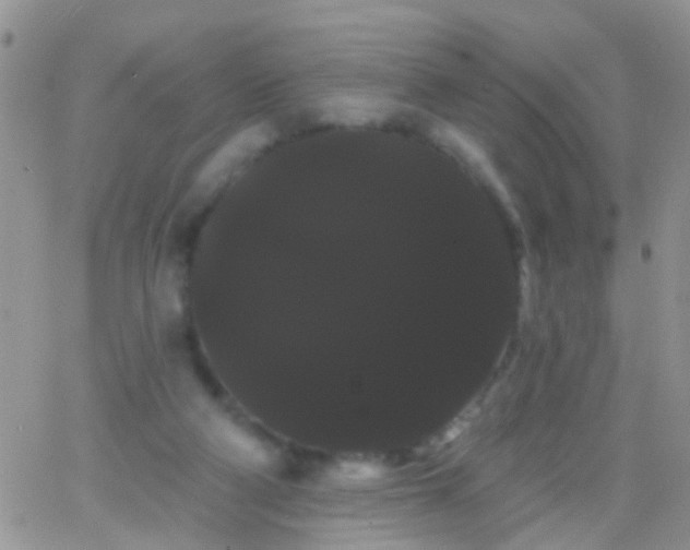 X0000066120114200603171804