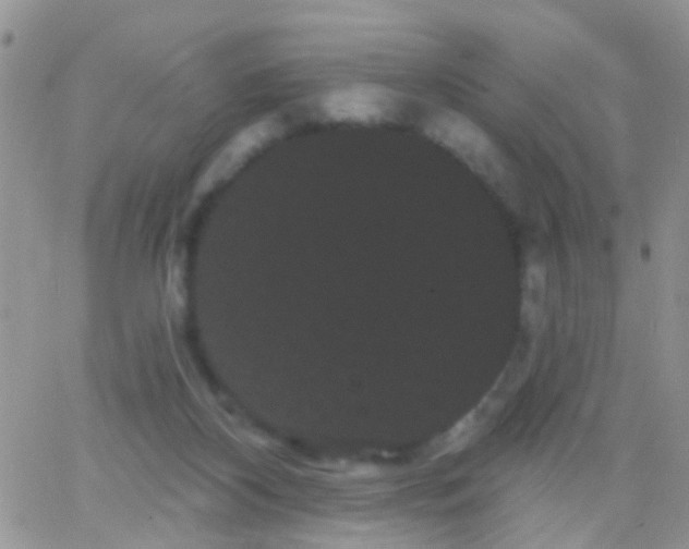 X0000066120116200603171804