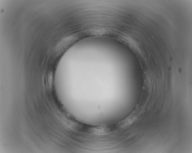 X0000066120118200603171804