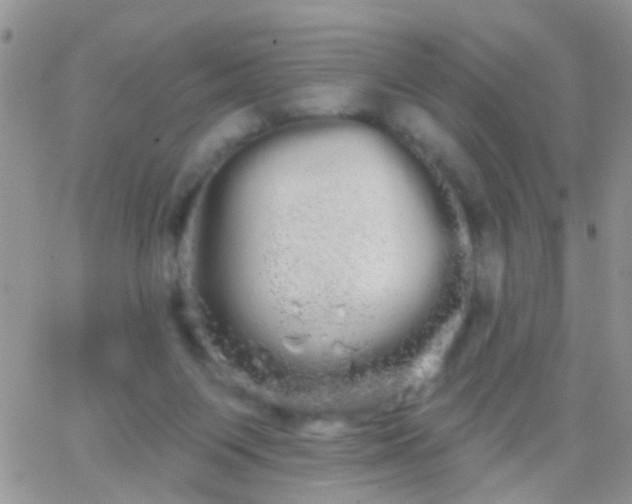 X0000066120119200603171804