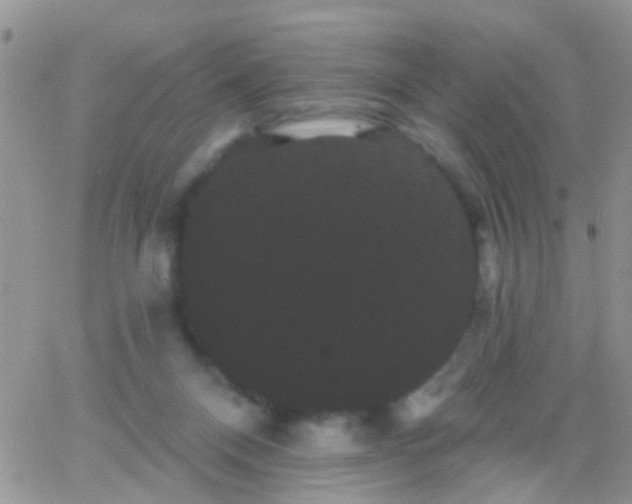 X0000066120120200603171803