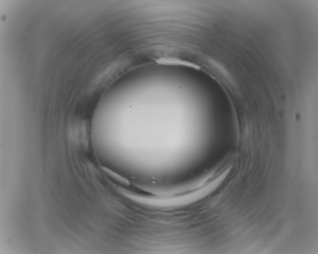 X0000066120121200603171803