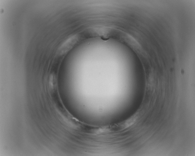 X0000066120122200603171803