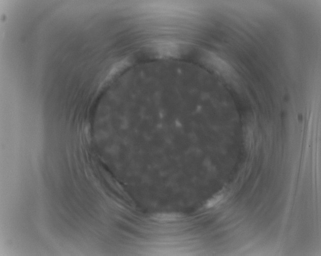 X0000066120123200603171803