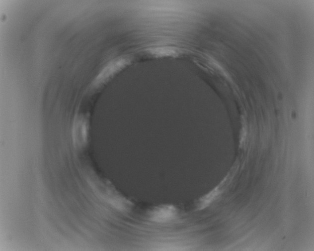 X0000066120124200603171803