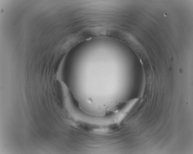 X0000066120125200603171803