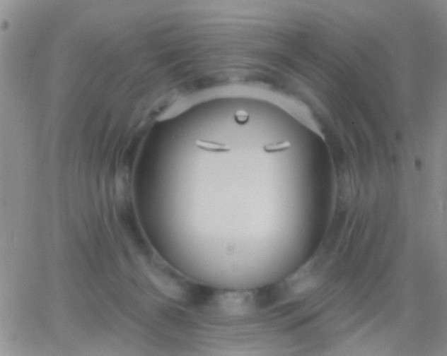 X0000066120126200603171803