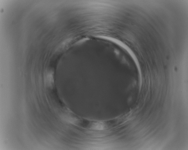 X0000066120127200603171803