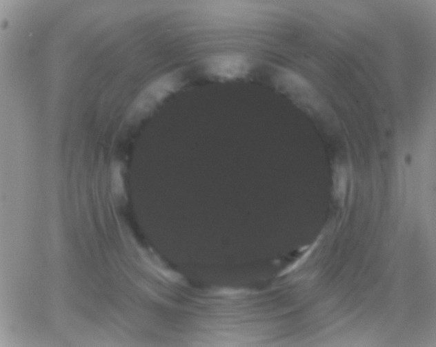 X0000066120128200603171803