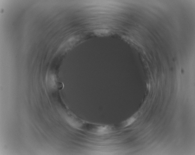 X0000066120130200603171803