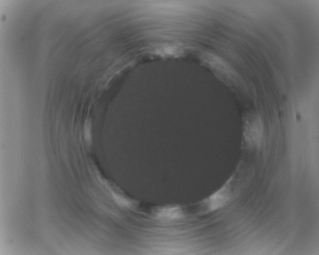 X0000066120132200603171803