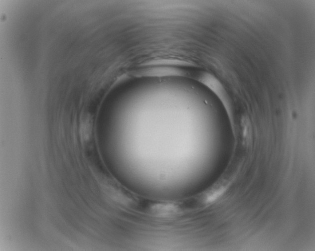 X0000066120133200603171803