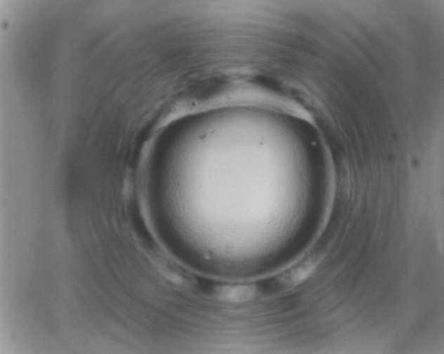 X0000066120135200603171803