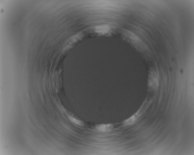 X0000066120136200603171803