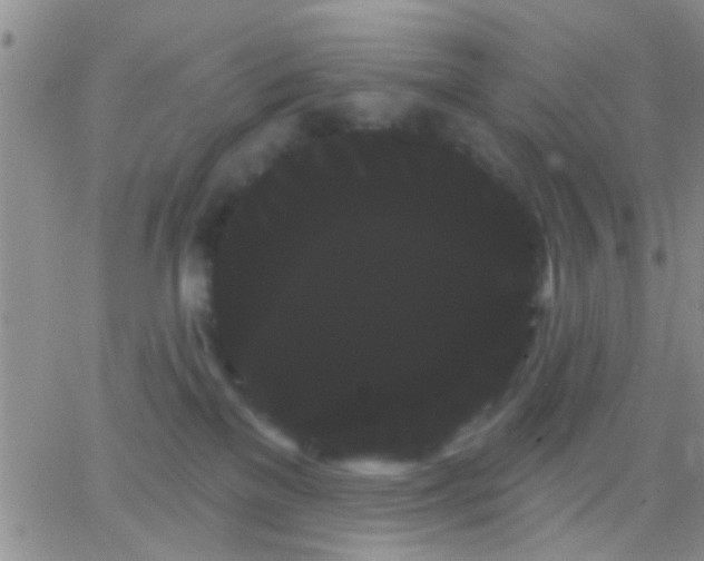 X0000066120137200603171803