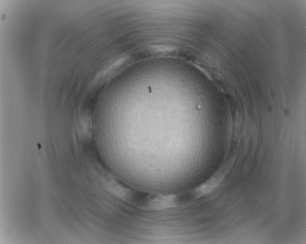 X0000066120138200603171803