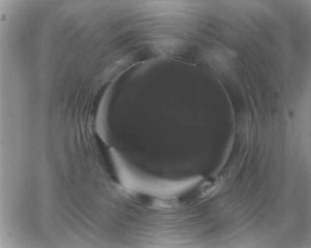 X0000066120139200603171803