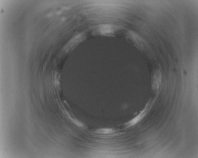 X0000066120140200603171803