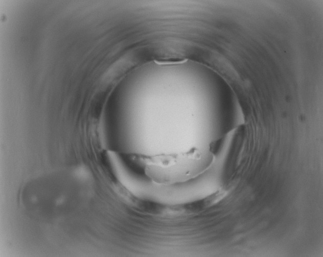 X0000066120141200603171803