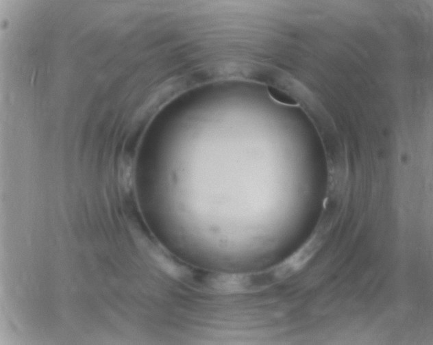 X0000066120142200603171803