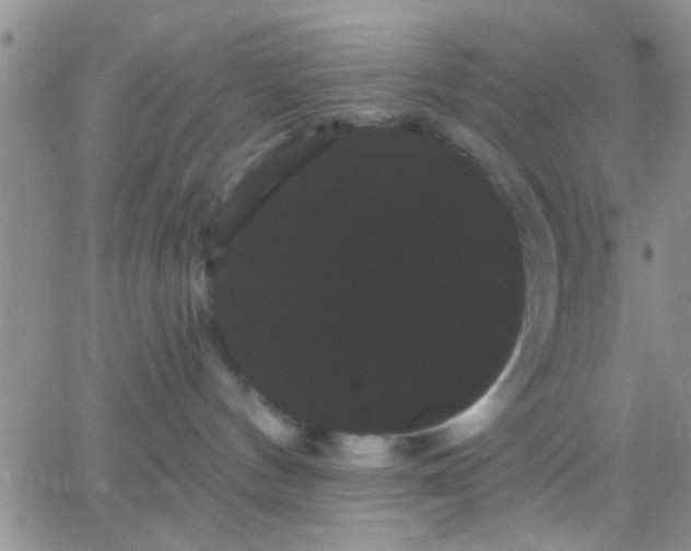 X0000066120144200603171803