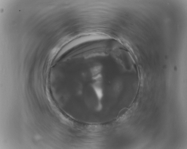 X0000066120145200603171802