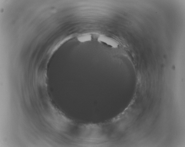 X0000066120146200603171802