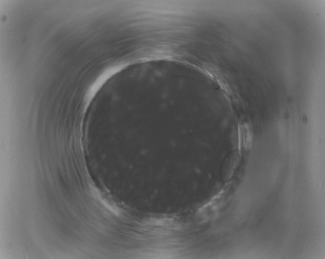 X0000066120147200603171802