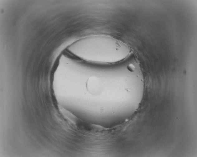 X0000066120148200603171802