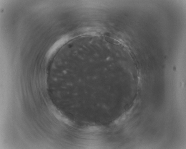 X0000066120149200603171802