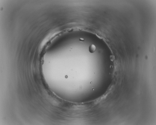 X0000066120150200603171802