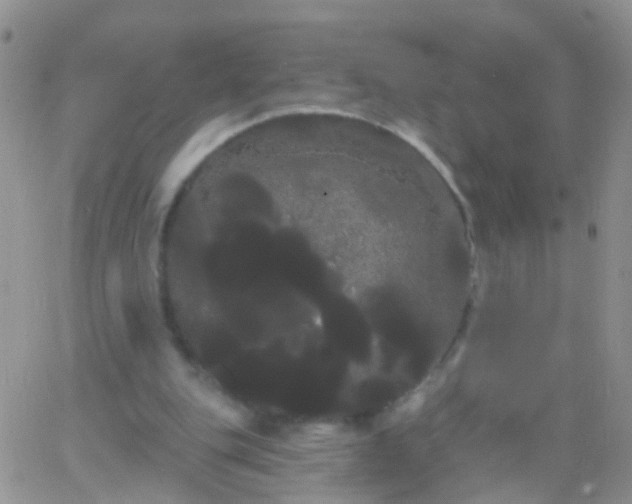 X0000066120151200603171802