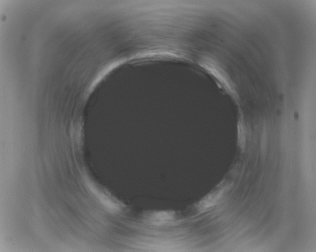 X0000066120156200603171802