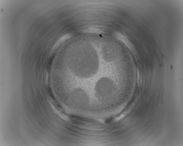 X0000066120157200603171803