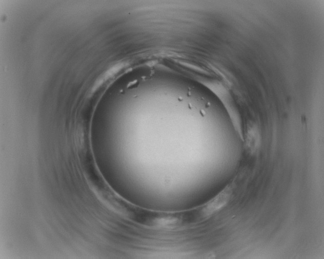 X0000066120158200603171803