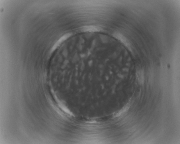 X0000066120159200603171803