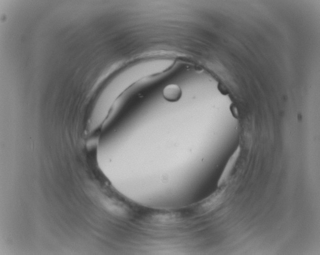 X0000066120160200603171803