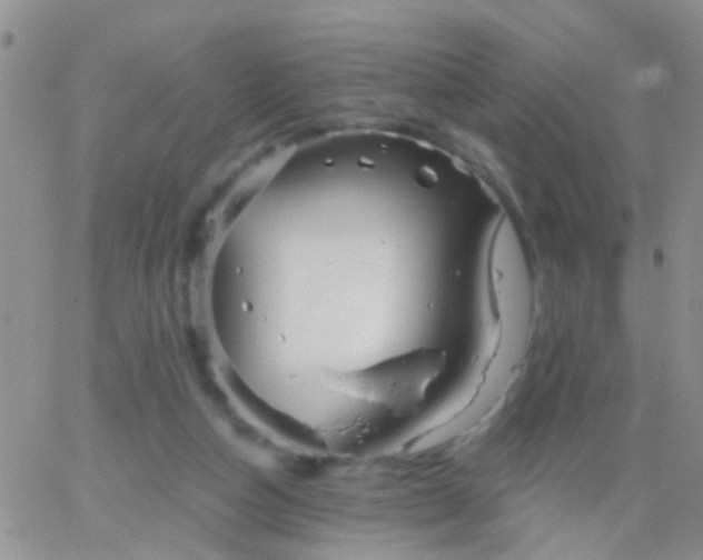 X0000066120162200603171803