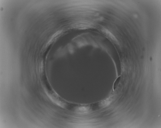 X0000066120163200603171803