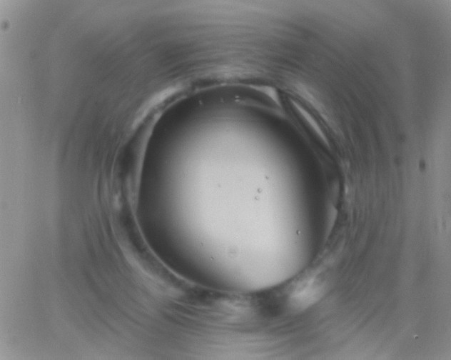 X0000066120164200603171803