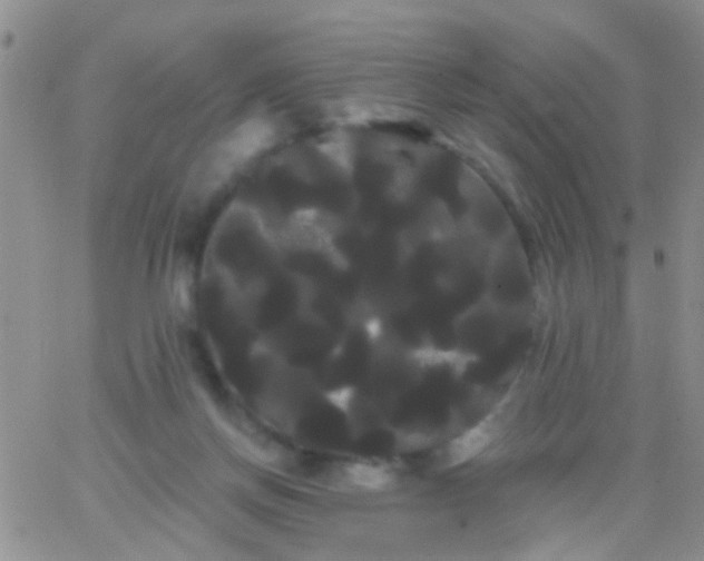 X0000066120166200603171803