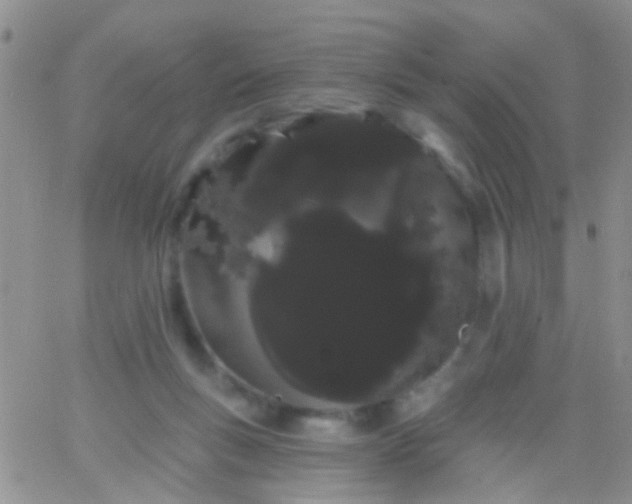 X0000066120167200603171803