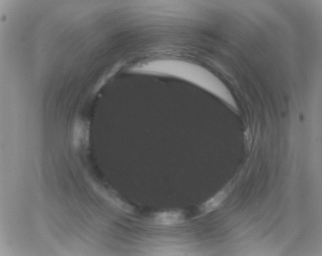 X0000066120168200603171803