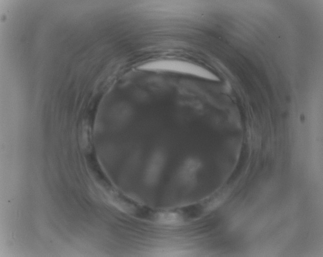 X0000066120169200603171803