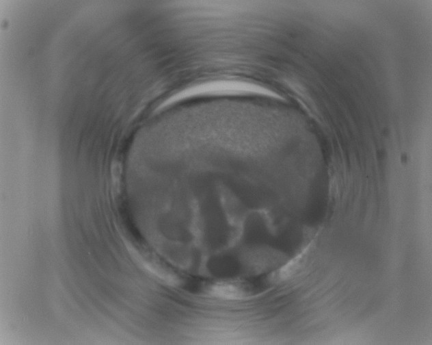 X0000066120171200603171803