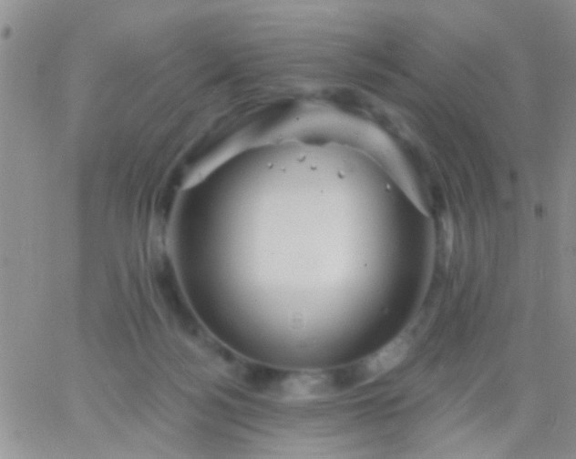 X0000066120172200603171803