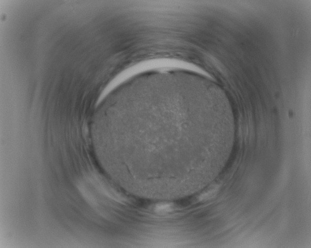 X0000066120173200603171803