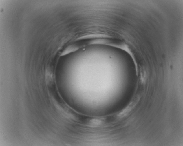 X0000066120176200603171803