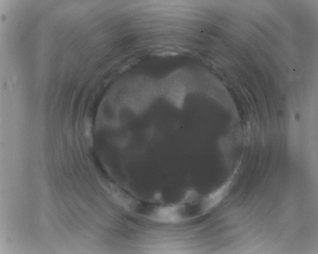 X0000066120178200603171803