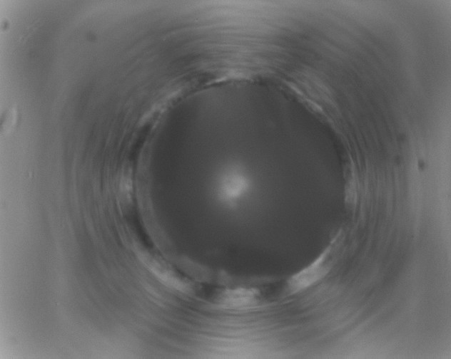 X0000066120179200603171803